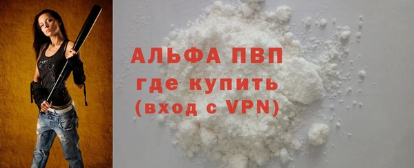 гидра Новозыбков