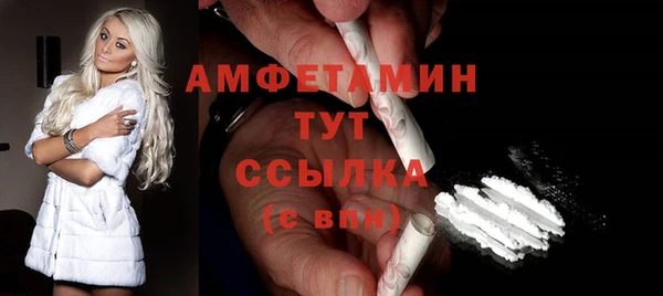 гидра Новозыбков