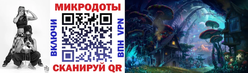 Галлюциногенные грибы Psilocybine cubensis  Брянск 