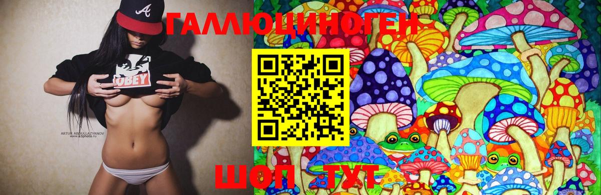 Галлюциногенные грибы GOLDEN TEACHER  Брянск  Псилоцибиновые грибы Psilocybe 