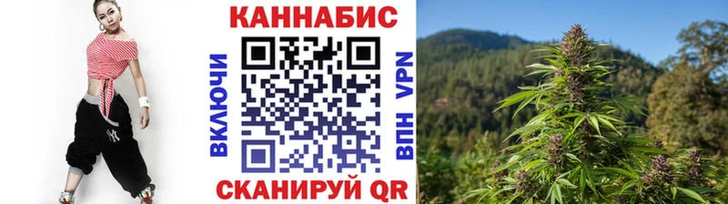 Каннабис OG Kush Брянск